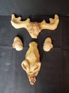 lot 220 image: New Moose Tree Face (Plaster)