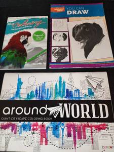 lot 258 image: Adult Drawing and Coloring Books