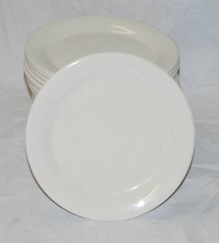 lot 5398 image: 24 Thunder Group Inc. Restaurant Plates - Dishwasher Safe