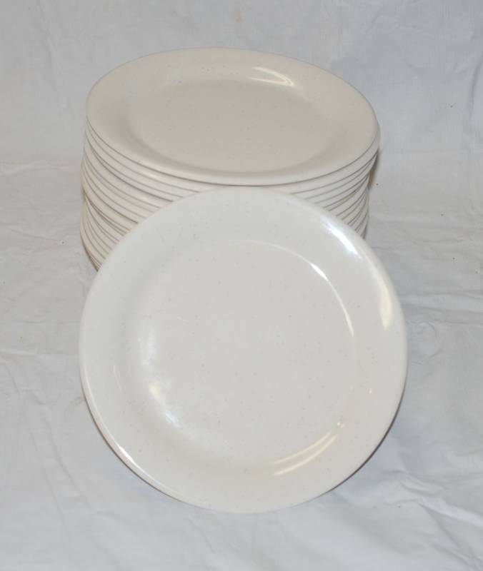 lot 5399 image: 24 Thunder Group Inc. Restaurant Plates - Dishwasher Safe