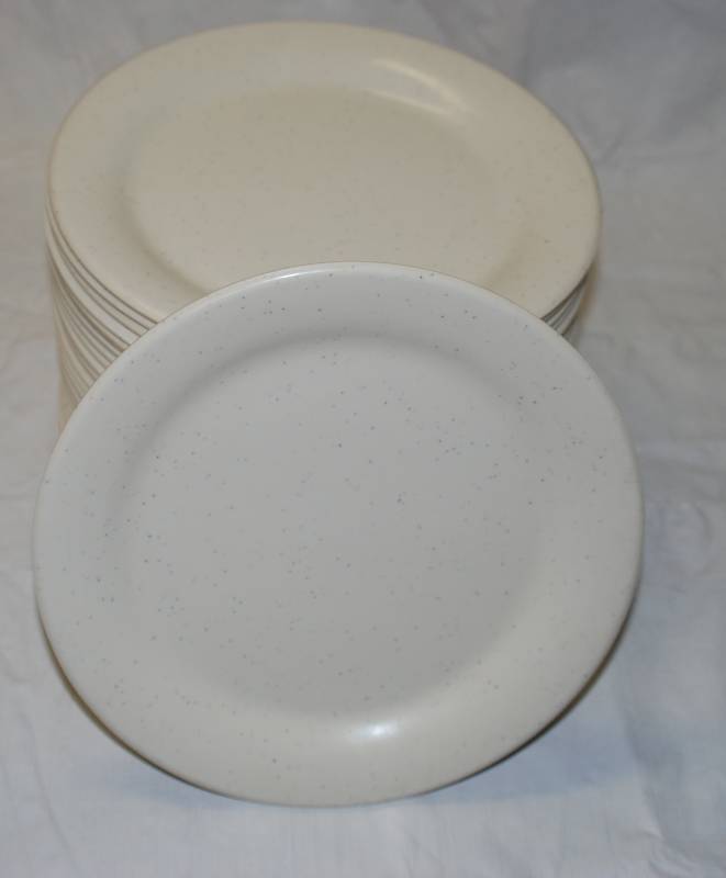 lot 5400 image: 24 Thunder Group Inc. Restaurant Plates - Dishwasher Safe