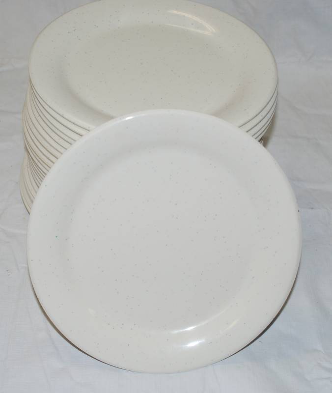 lot 5401 image: 24 Thunder Group Inc. Restaurant Plates - Dishwasher Safe