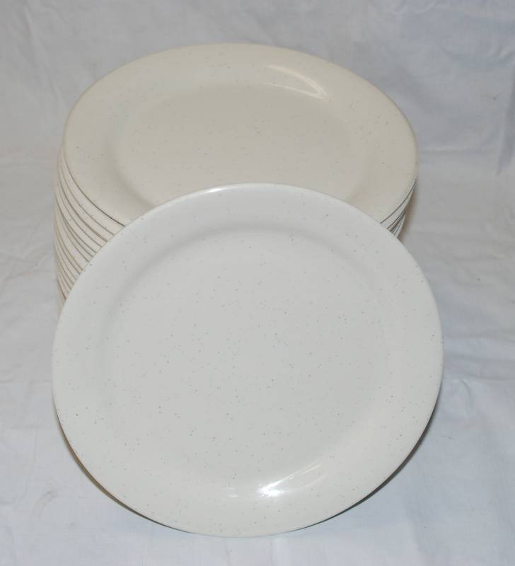 lot 5402 image: 24 Thunder Group Inc. Restaurant Plates - Dishwasher Safe