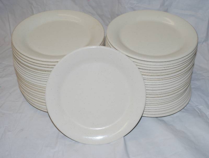 lot 5403 image: 48 Thunder Group Inc. Restaurant Plates - Dishwasher Safe