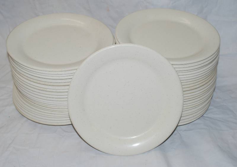lot 5404 image: 48 Thunder Group Inc. Restaurant Plates - Dishwasher Safe