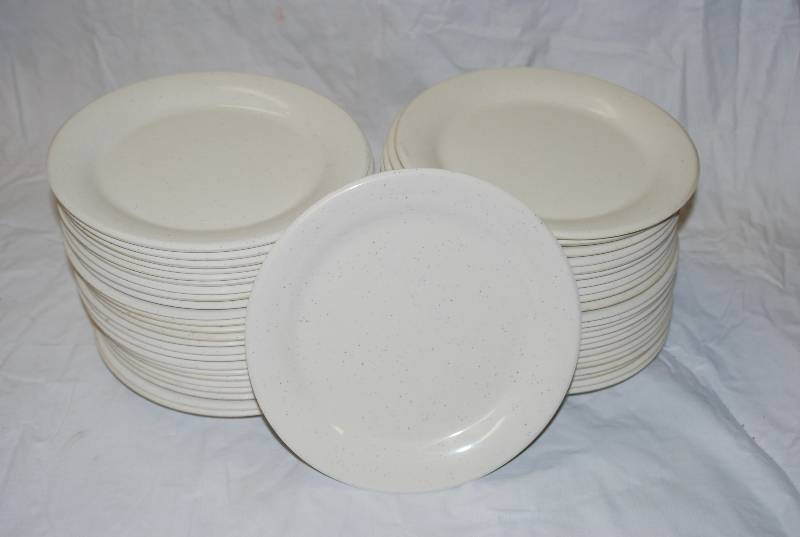 lot 5405 image: 48 Thunder Group Inc. Restaurant Plates - Dishwasher Safe