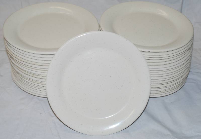 lot 5406 image: 44 Thunder Group Inc. Restaurant Plates - Dishwasher Safe