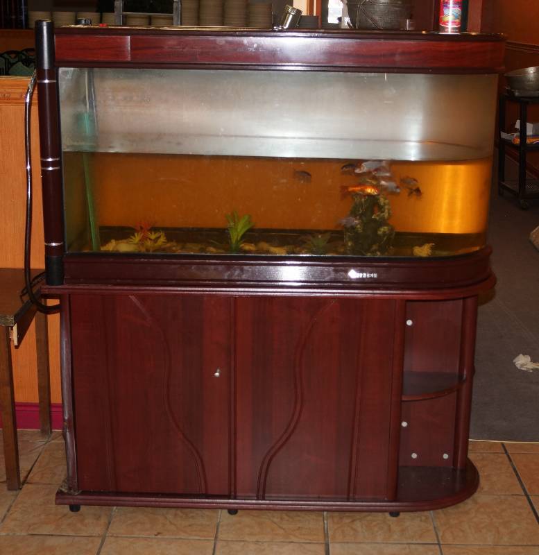 lot 5149 image: Large Fish Tank on Double-Sided Pedestal - Fish included WORKS - Nice Pump