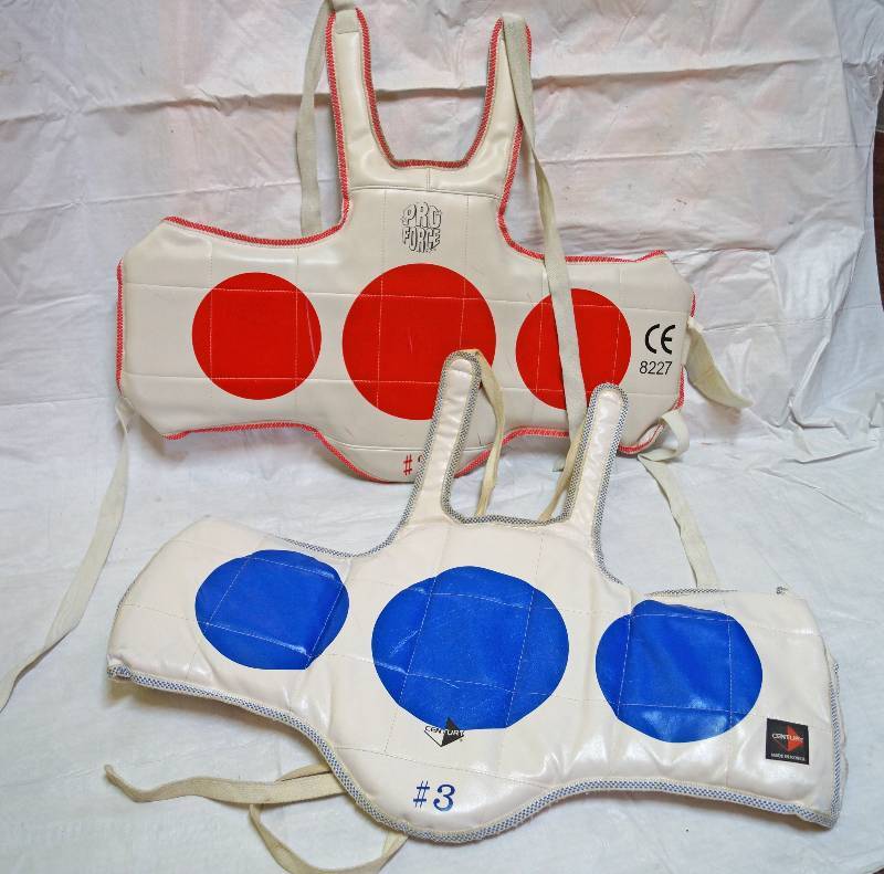 lot 95002 image: Karate or Kick Boxing Body Armor with Straps