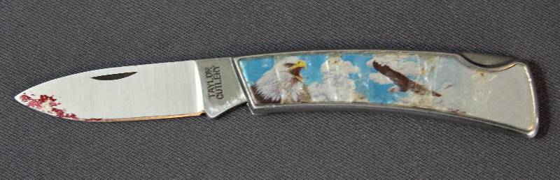 lot 9030 image: Taylor Cutlery Eagle Locking Folding Pocket Knife. Still has plastic over design