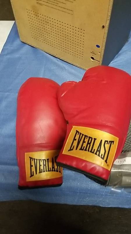 lot 3149 image: Everlast 14oz Boxing Gloves