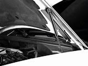 lot 54893 image: MMD Bolt On Hood Strut Kit Black (94-98) all