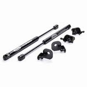 lot 54895 image: Ford performance hood strut kit with Ford Performance Logo