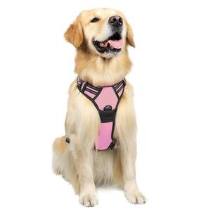 lot 84620 image: rabbitgoo No-Pull Pet Harness with 2 Leash Clips, Adjustable Soft Padded, Reflective No-Choke Pet Oxford Vest with Easy Control Handle for Large Dogs, Pink, L