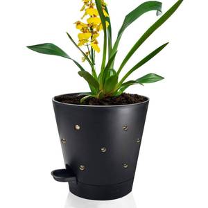 lot 84741 image: lehorra 1 Pcs Orchid Pots with Holes, 7 Inch Self Watering Plastic Orchid Pots for Repotting, Breathable Slotted Planter Pots for Orchid, Devils Ivy Healthy Air Circulation & Drainage (Black)