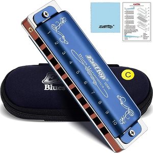 lot 84851 image: East top Harmonica, Diatonic, Key of C, 10 Holes, Blues Harp, Phosphor Bronze Reed, ABS Comb, for Adults, Professionals, Beginners, Students, Gift