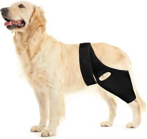 lot 84863 image: Huimpet Dog Knee Leg Hip Brace - Huimpt Dog ACL Brace for Front Torn and Back Hind Rear Leg ACL Tear, Dog Leg Brace for Hip Dysplasia, Dog Arthritis, Luxating Patella, Comfortable and Adjustable (M)