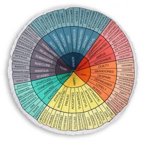 lot 84881 image: Wheel of Emotions Feelings Pillow Round Throw Circle Seating Floor Cushion Comfortable Round Pillow Floor Cushions Mat for Therapist Counseling Office Home Sofa Decor (Dark Colors,20 x 20 Inch)