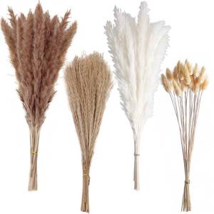 lot 85960 image: 100 PCS Boho Pampas Grass, Naturally Dried Pompas, Pampas Grass Decor for Wedding , Boho Party Decorations, Table Decorbrown and white