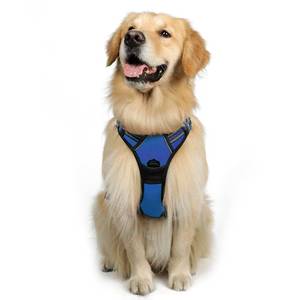 lot 86132 image: rabbitgoo Dog Harness, No-Pull Pet Harness with 2 Leash Clips, Adjustable Soft Padded Dog Vest, Reflective No-Choke Pet Oxford Vest with Easy Control Handle for Large Dogs, Dazzling Blue, L