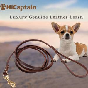 lot 86329 image: HiCaptain Thin Leather Dog Leash for Small Dogs Up to 15 lb (13 inch Wide, 6 Ft)
