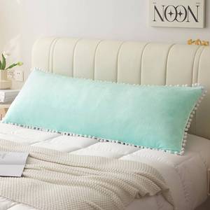 lot 83451 image: LIFEREVO Pom-poms Velvet Bed Body Pillow Cover, Long Fuzzy Body Pillow Pillowcase Cover 20x54, Boho Tassel Microfiber Bed Pillowcase for Kids Girls Teen Women Adults, Zipper Closure, Aqua Green