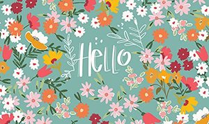 lot 83489 image: Toland Home Garden 800521 Hello Flowers Spring Door Mat 18x30 Inch Flower Outdoor Doormat for Entryway Indoor Entrance