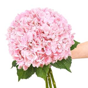 lot 83536 image: Dolicer 21 Pink Artificial Latex Hydrangea Flowers, 3 Pcs Real Touch Faux Hydrangea Flowers with Long Stems & Leaves for Centerpieces Bouquets Party DIY Floral Home Wedding Decoration