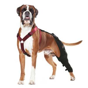 lot 83562 image: Moysoon Dog Leg Acl Brace, Dog Knee Braces for Torn Acl Hind Leg, Luxating Patella, Cruciate Ligament, Dog Acl Knee Brace Support Back Leg for Relieve Joint Pain and Muscle Sore Left (XL)