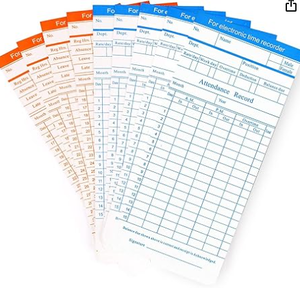 lot 10108 image: Flexzion Time Cards 2 Sided 100 Pack