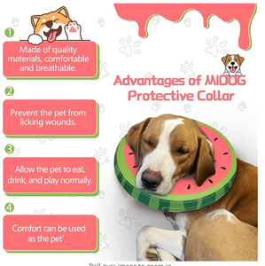 lot 10171 image: Midog Dog Cone Inflatable Large Pink Watermelon