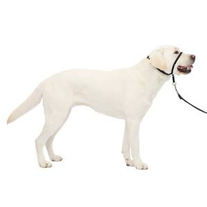 lot 10081 image: PetSafe Gentle Leader No-Pull Dog Headcollar - The Ultimate Solution to Pulling - Redirects Your Dogs Pulling for Easier Walks - Helps You Regain Control - Large, Black