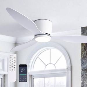 lot 9974 image: LUDOMIDE Ceiling Fans with Lights, 52 Inch Low Noise Reversible Airflow DC Motor Ceiling Fan with Remote Control, 2000LM Flush Mount Ceiling Fan for for Bedroom, Living Room - Retail $143.71