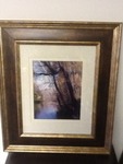 Absolutely beautiful framed and double matted outdoor professional photo great Decour pieces  17 x 20