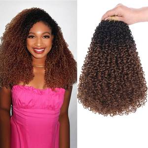 lot 89392 image: Unionbeauty 12 Inch Pre-looped Yanky Twists Crochet Braids Hair 8 Packs Pre-twisted Micro Passion Twist Crcochet Hair Ombre Brown Spring Twists Synthetic Marlybob Crochet Braids Hair Extensions 1B30#