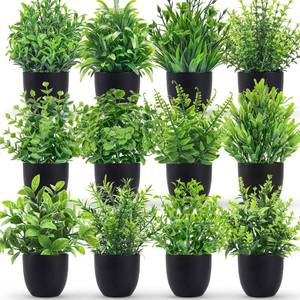 lot 89407 image: Der Rose Fake Plants 12 Pack Artificial Plants Small Faux Plants in Black Pot for Bathroom Home Office Table Decor Indoor