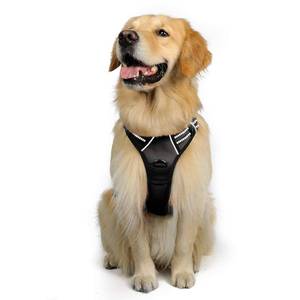 lot 90479 image: rabbitgoo Dog Harness, No-Pull Pet Harness with 2 Leash Clips, Adjustable Soft Padded Dog Vest, Reflective No-Choke Pet Oxford Vest with Easy Control Handle for Large Dogs, Black, XL