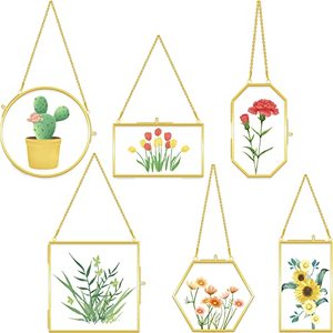 lot 91195 image: 6 Pcs Brass Glass Frame for Pressed Flowers Hanging Picture Frames with Chain Clear Double Glass Frame Gold Floating Frame Artwork Display Frame for Gallery Wall Decor Dried Plant Leaf, 6 Shapes
