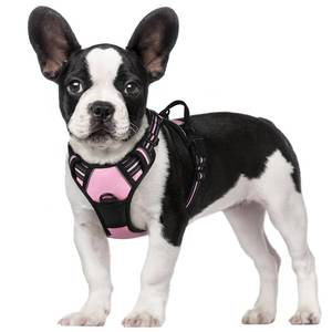 lot 91338 image: rabbitgoo Dog Harness, No-Pull Pet Harness with 2 Leash Clips, Adjustable Soft Padded Dog Vest, Reflective No-Choke Pet Oxford Vest with Easy Control Handle for Small Dogs, Pink, S