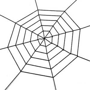 lot 91389 image: TEXASDELUXE 4 feet Black Spiderweb Spider Webs Halloween Decorations Large 5ft end-to-end Halloween Black Spider Web Plush Spiderweb Decor Spiders Halloween Decorations