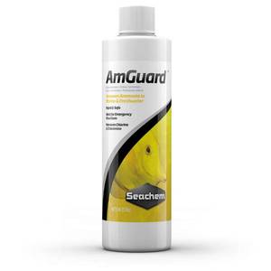 lot 87997 image: Seachem AmGuard 250ml