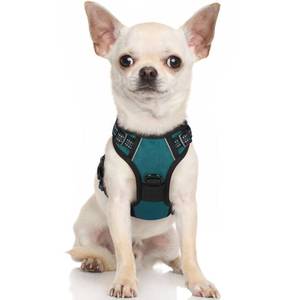 lot 88114 image: rabbitgoo Dog Harness, No-Pull Pet Harness with 2 Leash Clips, Adjustable Soft Padded Dog Vest, Reflective No-Choke Pet Oxford Vest with Easy Control Handle for Small Dogs, Blue Coral, XS