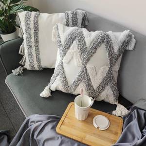 lot 14602 image: TINYSUN White Grey Tufted Boho Throw Pillow Covers with Tassels, Set of 2, Super Soft Velvet Pillowcase for Sofa Bed Living Room(Grey-Line,18x18)