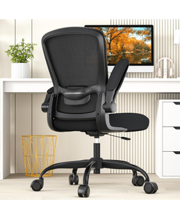 lot 14482 image: Office Chair, Ergonomic Desk Chair with Adjustable Lumbar Support, High Back Mesh Computer Chair with Flip-up Armrests-BIFMA Passed Task Chairs, Executive Chair for Home Office