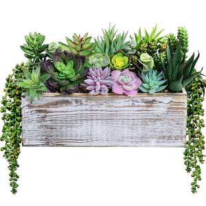 lot 14537 image: 19 Pcs Assorted Artificial Succulents Fake Plants in Rectangular Wooden Pot Succulents Garden in Wood Planter Box Potted Succulents Plants Arrangement for Table Centerpiece Windowsill Greenery Decor