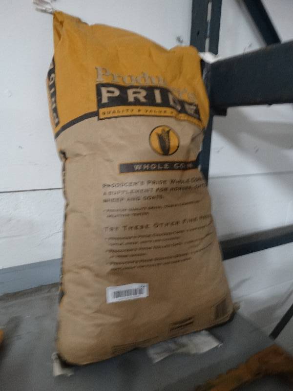 lot 364 image: 50 lb bag of whole corn