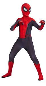 lot 9000 image: Spiderman Costume