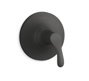 lot 9029 image: Tub & Shower Trim