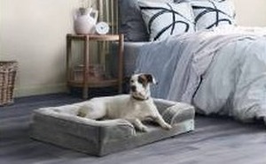 lot 9035 image: Pet Bed