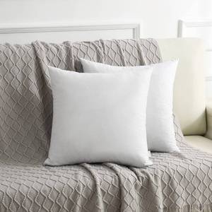 lot 92067 image: DWR Set of 2 Feather Down Throw Pillow Inserts 16x16 with Organic Cotton Cover, Goose Feather Square White Decorative Pillow Inserts for Bed, Sofa, and Couch